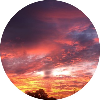 memesoftheday avatar