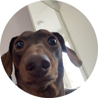 official_shototodo avatar