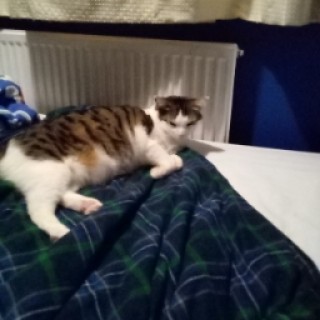 ernest_the_memer avatar