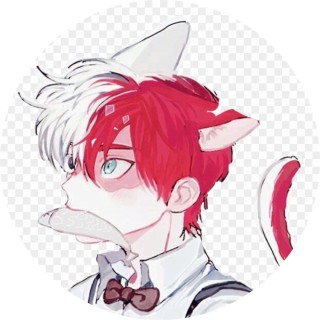 todoroki_shoto_kawaii avatar