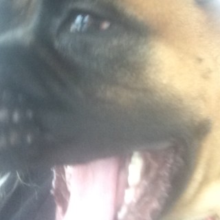 ay_im_a_bit_bored avatar