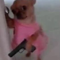 Bella_boo_poo avatar