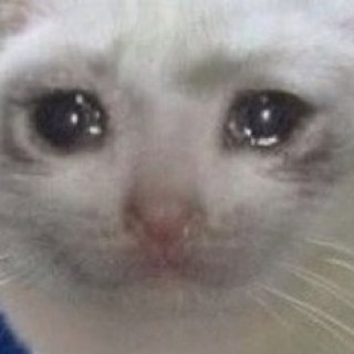 LigmaChickenBalls avatar