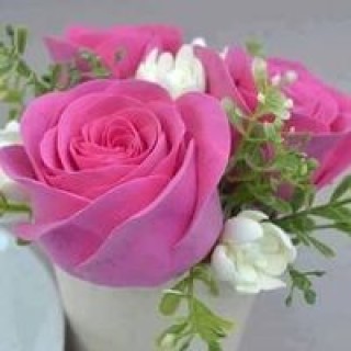 oporupachowdhuryurmi avatar