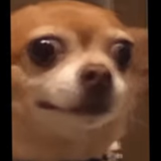 7some.kid.being.bored.from.2020 avatar