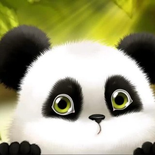 pandashout avatar