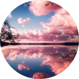 hit_next_holly_wolf avatar