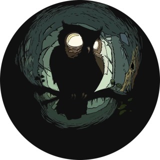 night_owl avatar