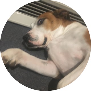 mopeydopeynopey avatar