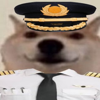 PilotDoggo42069 avatar