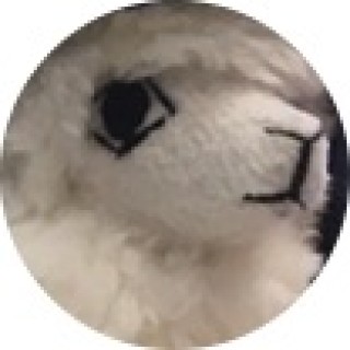 Panda_Express8226 avatar