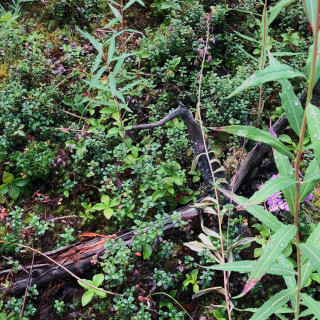 ERRORonMEME.COM avatar