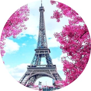 doggyscarrock avatar