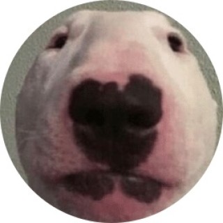 you_found_natman avatar