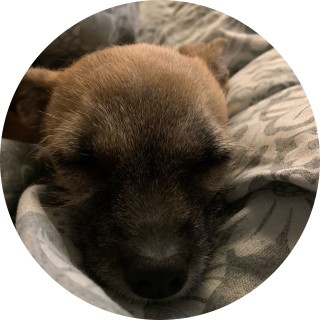 QualityGreat_memes avatar