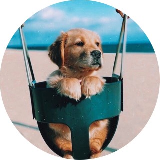 katherinepeirce avatar