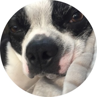 madhattermaniac avatar