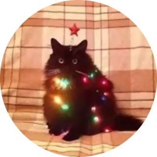 the_fantastic_cat avatar