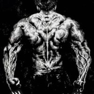 gerson.dimonds2021 avatar