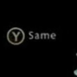 Y_same avatar