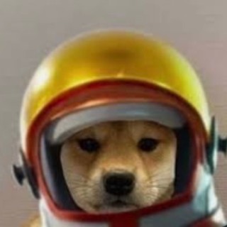 s_k_i_t_t_l_e avatar