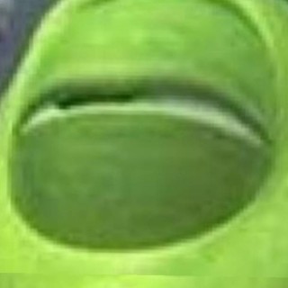 littlewaffle05 avatar