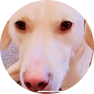 baileygirl1030 avatar