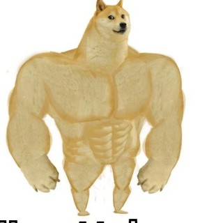 meme_master768910 avatar