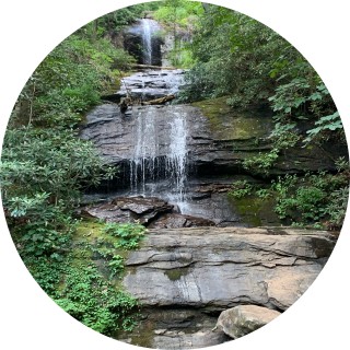 try_but_you_lose avatar