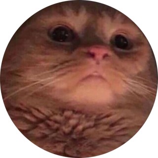 nooneknowzmemez avatar