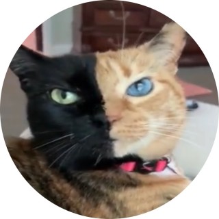 meme_hub_go_to_me avatar