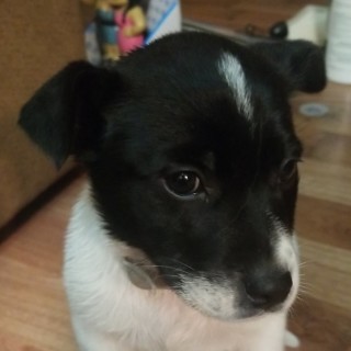 freakingwerido101 avatar