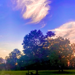 Kpop_is_my_life avatar