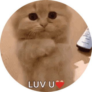 littlekittenmemes avatar