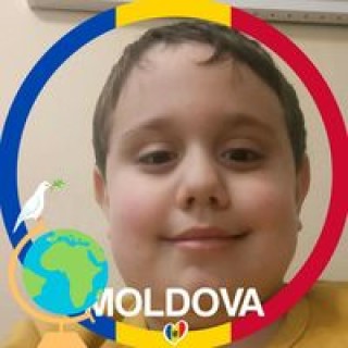 lungugavriil391 avatar