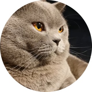 Coffee_addict avatar