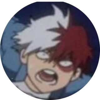 todoroki_memes avatar
