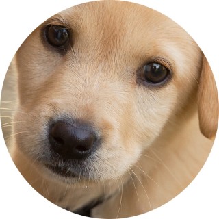 alexia__meme_boi avatar