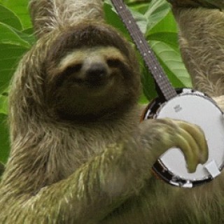 banjo_sloth avatar