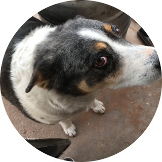 meme_master9743 avatar