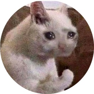 mocha_the_cat avatar