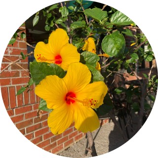 Nicole_sherrin avatar