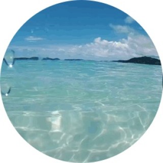 annmorales826 avatar