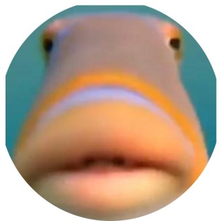 memer_queener avatar