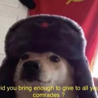 RUSSIANSpaceDog avatar