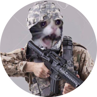 thereeeeeecat avatar