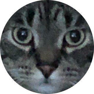 catislife avatar