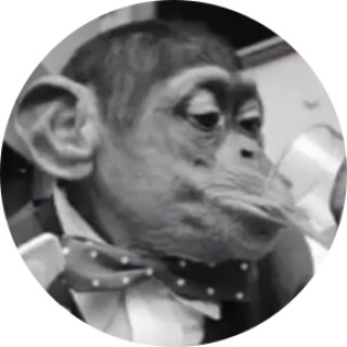 smallmonke avatar