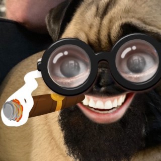 anonymous_2649 avatar