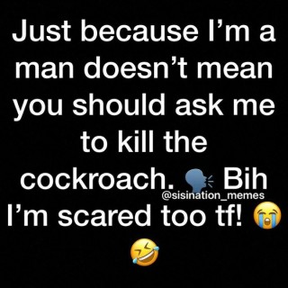 memesarelife4ever avatar